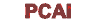 pcai.gif (1485 bytes)